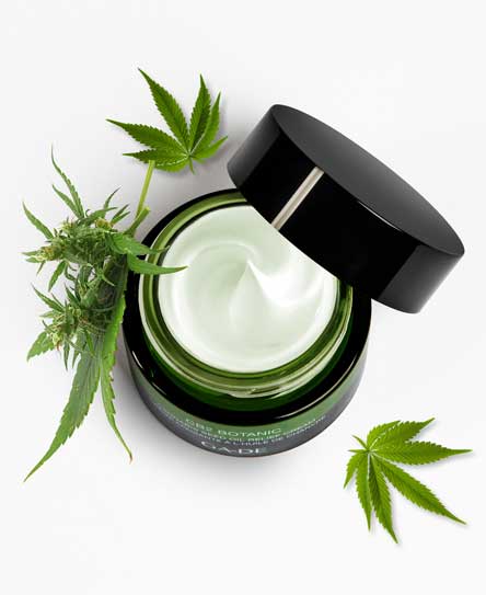 cannabis oil relief cream